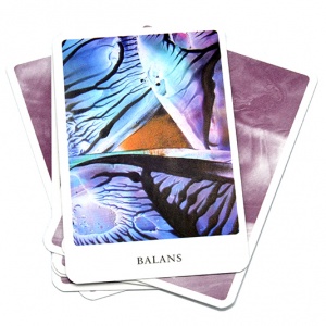 akashas-kracht-orakelkaarten-sylvia-pleiter_b