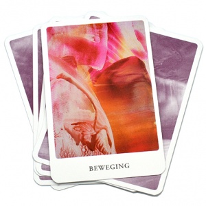 akashas-kracht-orakelkaarten-sylvia-pleiter_c