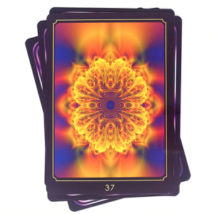 begeleiding-vanuit-de-bron_7