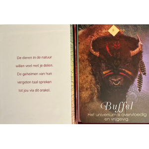 bizon-buffel-dierenkaart_1