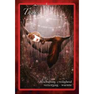 chakra-wijsheid-orakelkaarten_8