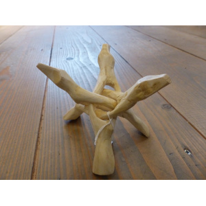 cobra-standaard-abaloneschelp-standaard_4_1777622998