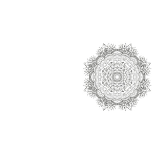 creartive-colors-flower-mandala-kleurboek_2