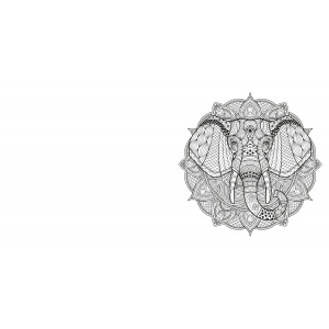 creative-colors-natuur-mandala-kleurboek_5