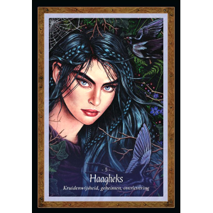 de-wijsheid-uit-het-feeenrijk_d