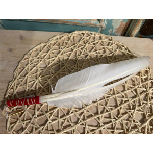 dubbele-smudge-veer-witte-zwaan_1