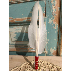 dubbele-smudge-veer-witte-zwaan_3