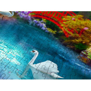 enjoy-puzzel-japanese-garden_5