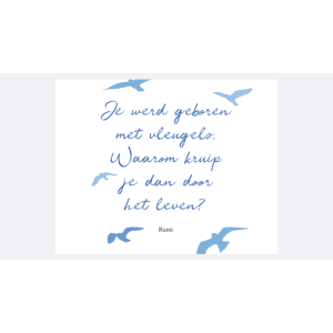 geloof-in-jezelf-inspiratiekaarten-9789044770308_7