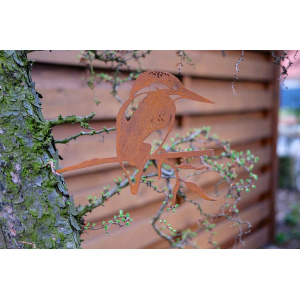 geluksvogel-ijsvogel-roest-1308-02_c