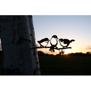 geluksvogel-kuiken-drietal-silhouet-1343_02