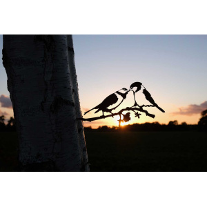 geluksvogel-mezenpaartje-1341_1