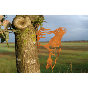 geluksvogel-specht-roest-1344