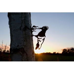 geluksvogel-specht-silhouet-1344