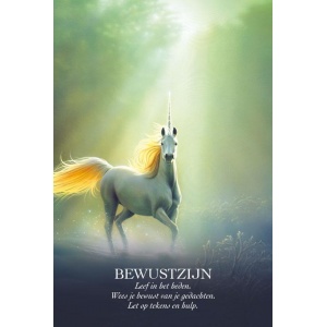 het-orakel-van-de-eenhoorns_i