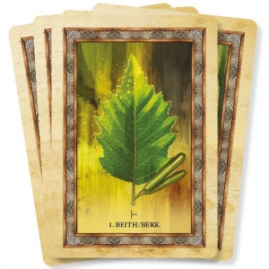 het-orakel-van-de-keltische-bomen_b