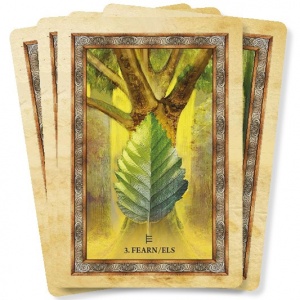 het-orakel-van-de-keltische-bomen_d