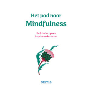 het-pad-naar-mindfulness-9789044768961_3