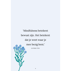 het-pad-naar-mindfulness-9789044768961_7
