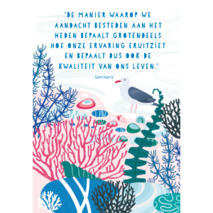 het-pad-naar-mindfulness-9789044768961_8
