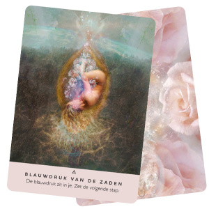 het-rozen-orakel-rebecca-campbell_2