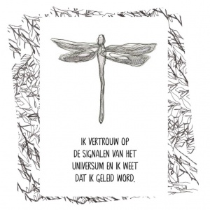 het-universum-staat-achter-je_d