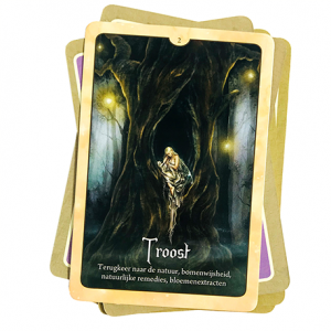 het_orakel_van_de_feeen_a