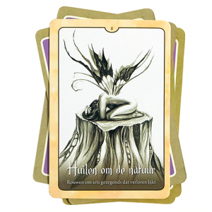 het_orakel_van_de_feeen_b