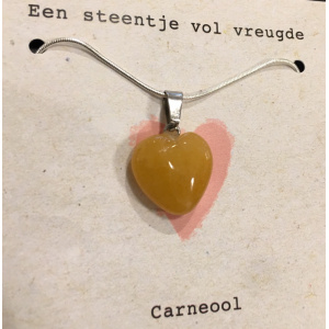 ketting_met_carneool_hartje_462206349
