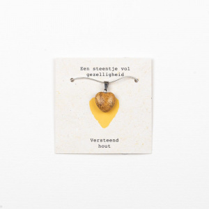 ketting_met_versteend_hout_hartje