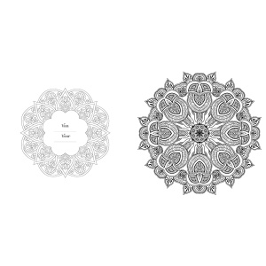 kleurboek-creative-moments-nature--flowers-mandala-creatief-kleuren-9789463541053_7