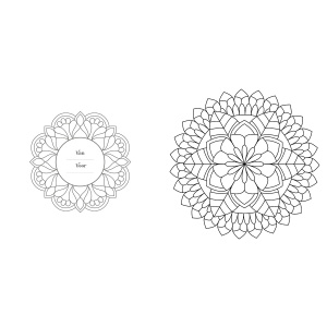 kleurboek-creative-moments-senioren-mandala-creatief-kleuren-9789463541992_6