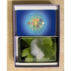 levensboompaden-kaartenset_3