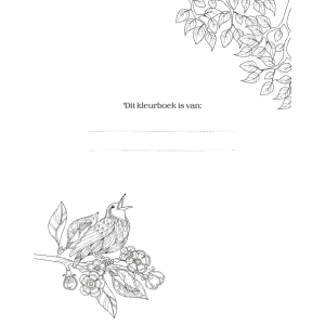 magic-forest-kleurboek-9789044766288_3