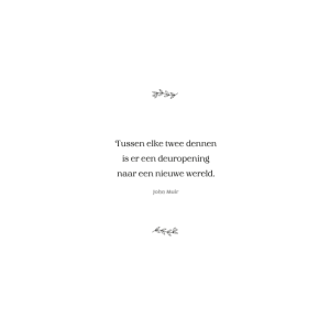 magic-forest-kleurboek-9789044766288_4