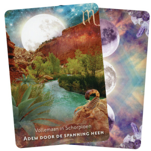 manifesteren-met-de-maan-9789401305457_4