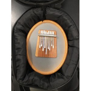 meinl-kanjira-tas-met-sansula_2