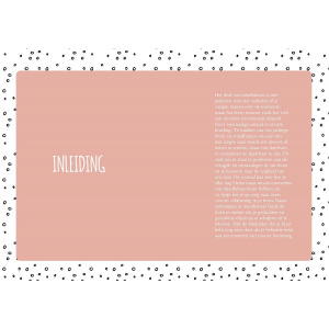 mijn-mindfulness-journal_3