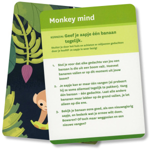monkey-mind-kaartenset-9789401304788_3