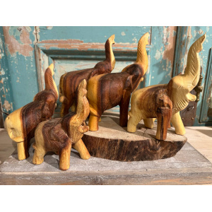 olifant_hout_trompetgeluid-4