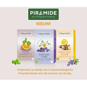 ondersteun_je_welzijn_met_piramide