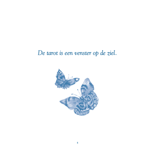 praktisch-handboek-tarot_4
