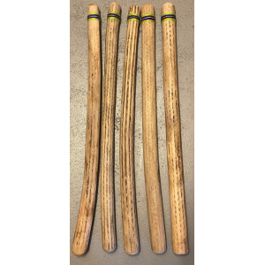 rainstick-cactus-dik-100cm-lichtgroen_1