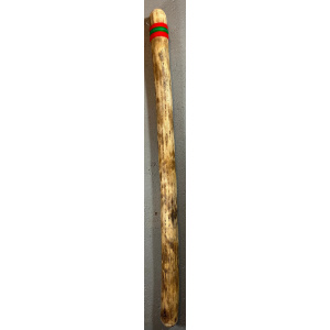 rainstick-cactus-dik-100cm-roodgroen_1