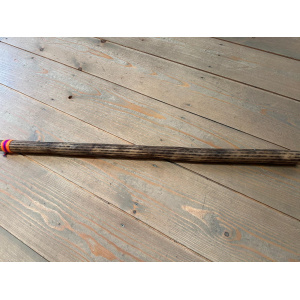 rainstick-cactus-dun-100_cm-a_1