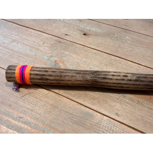 rainstick-cactus-dun-100_cm-a_2