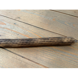 rainstick-cactus-dun-100_cm-a_4