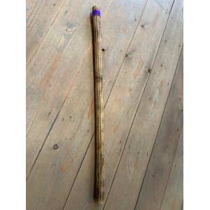 rainstick-cactus-dun-100_cm-c_1