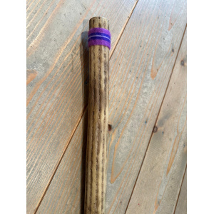 rainstick-cactus-dun-100_cm-c_2