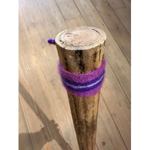 rainstick-cactus-dun-100_cm-c_5